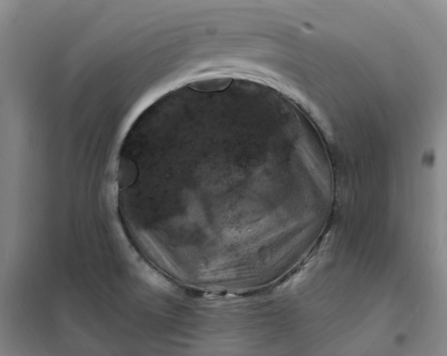 X0000101091522200807101536