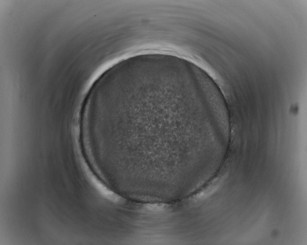 X0000101091523200807101536