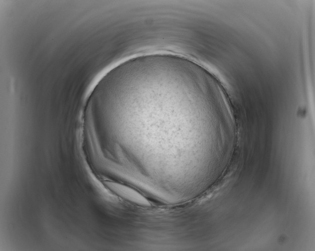 X0000101091524200807101536