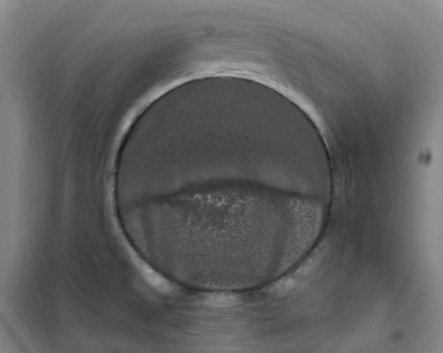 X0000101091525200807101537