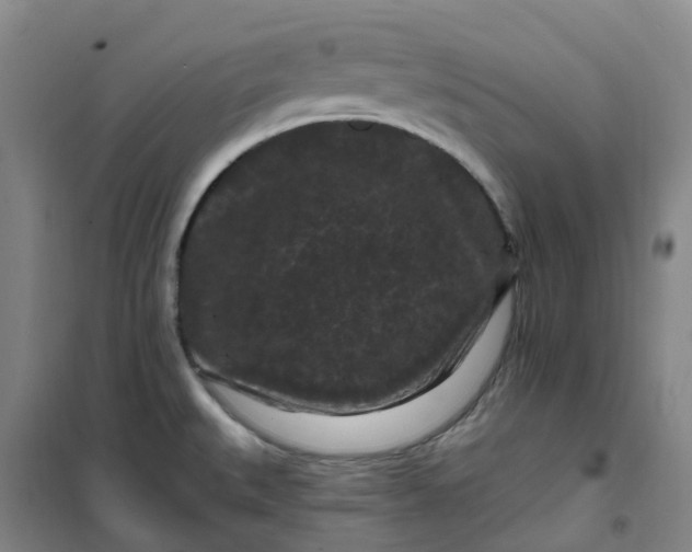 X0000101091527200807101537