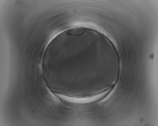 X0000101091529200807101537