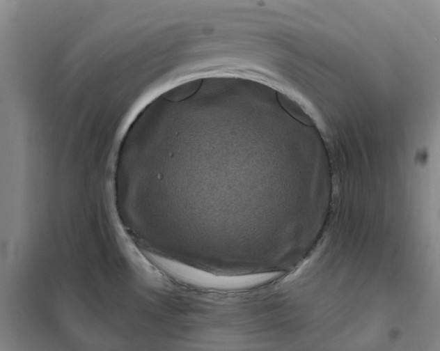 X0000101091530200807101537