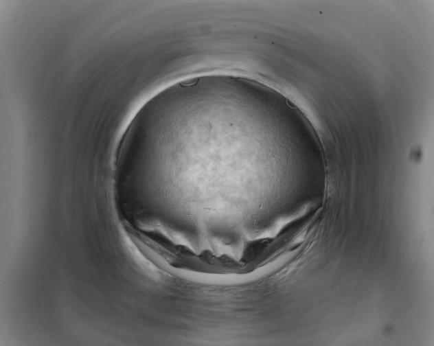 X0000101091532200807101537