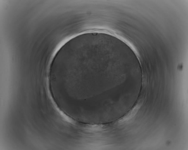 X0000101091533200807101537