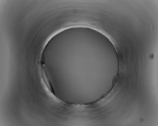 X0000101091534200807101537