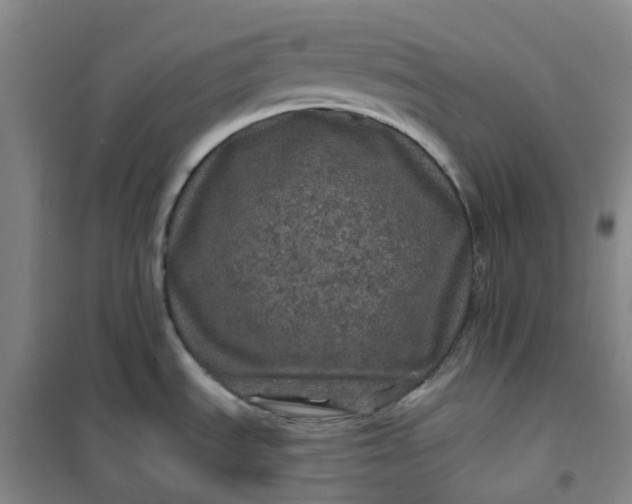 X0000101091535200807101537