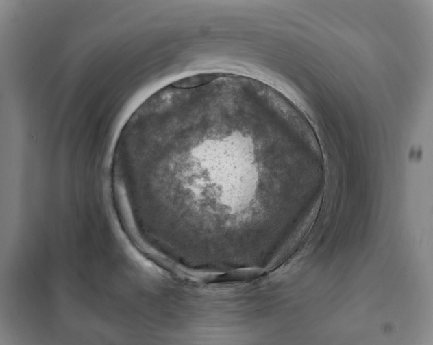 X0000101091536200807101537