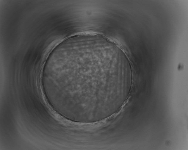 X0000101090001200807171859