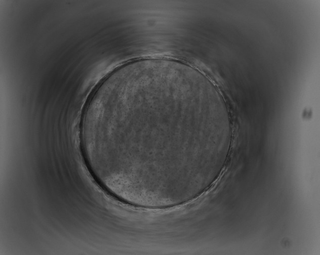 X0000101090002200807171859