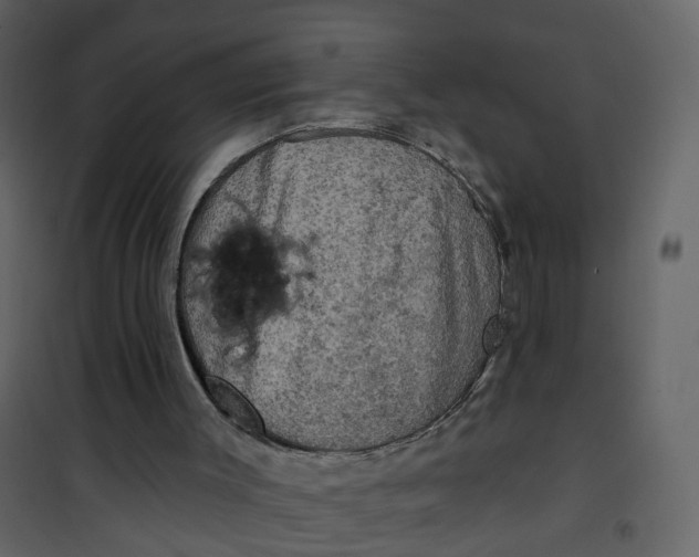 X0000101090003200807171859