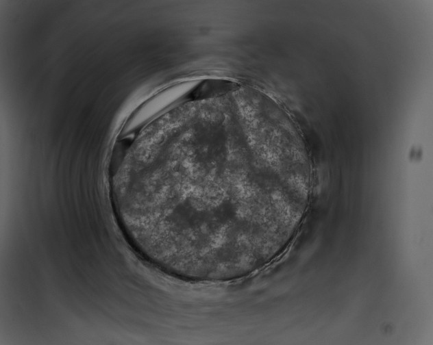 X0000101090004200807171859