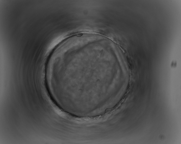 X0000101090005200807171859