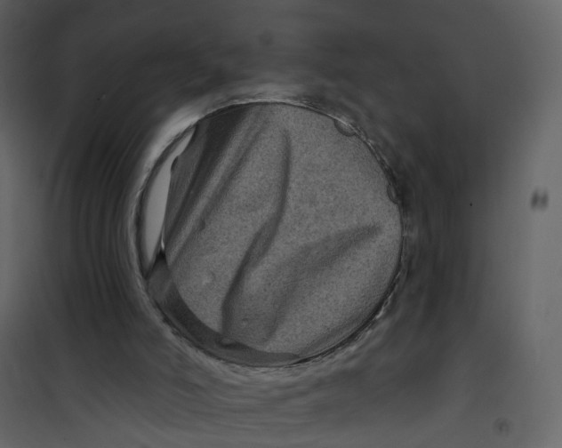 X0000101090006200807171859