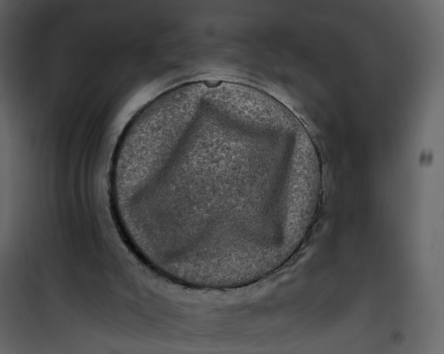 X0000101090007200807171859