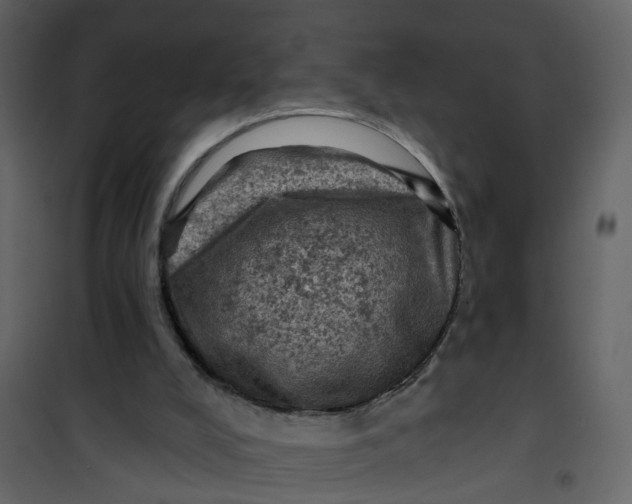 X0000101090008200807171859