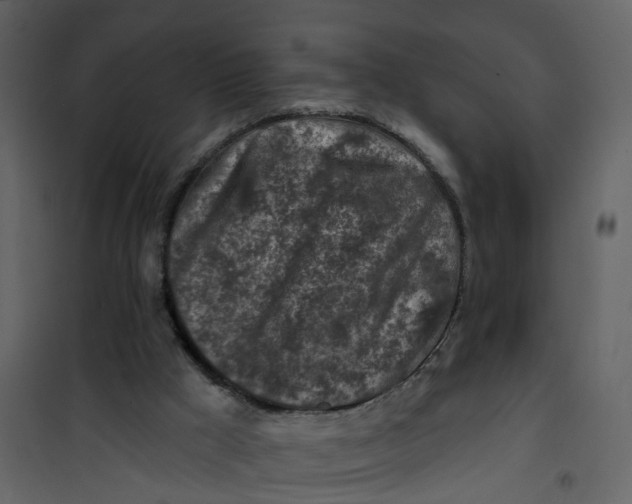 X0000101090009200807171859