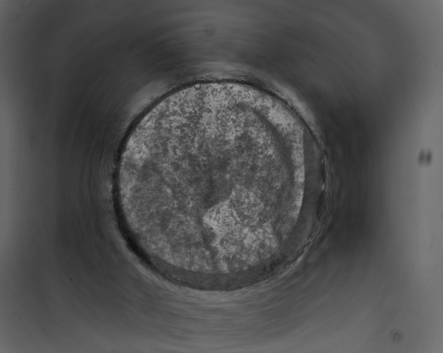 X0000101090010200807171859