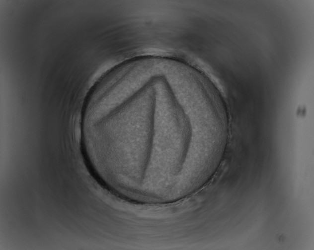 X0000101090011200807171859