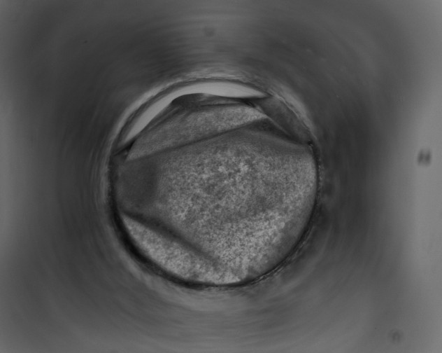 X0000101090012200807171859