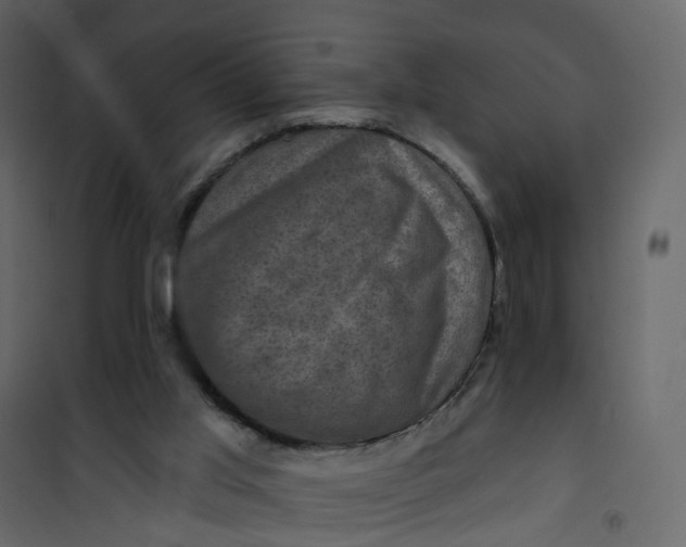 X0000101090013200807171859