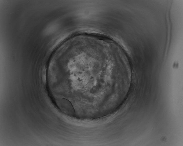 X0000101090014200807171859