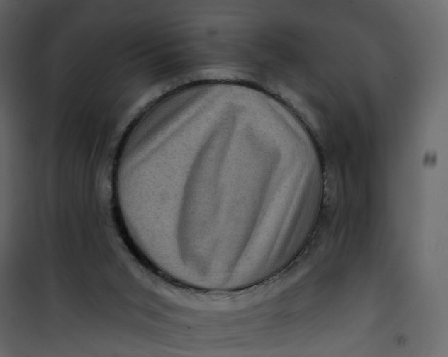 X0000101090015200807171859