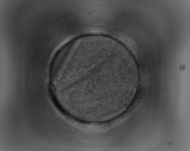 X0000101090016200807171859