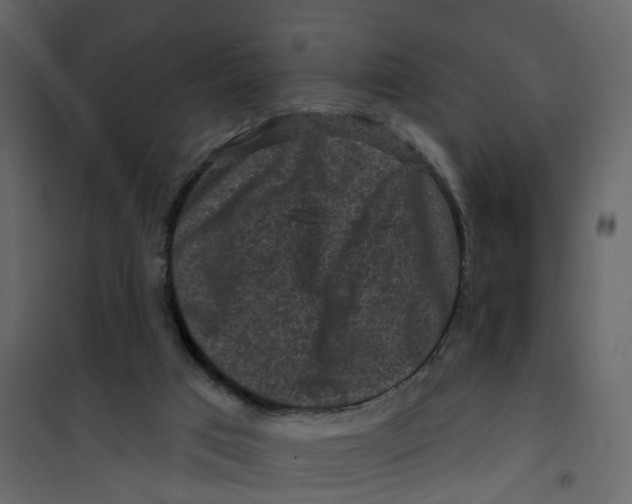 X0000101090017200807171859