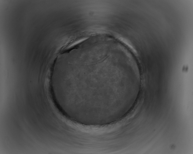 X0000101090018200807171859