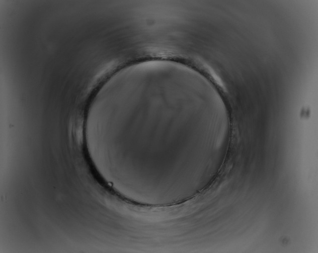 X0000101090019200807171859