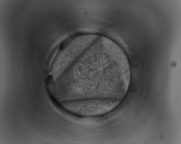 X0000101090020200807171859