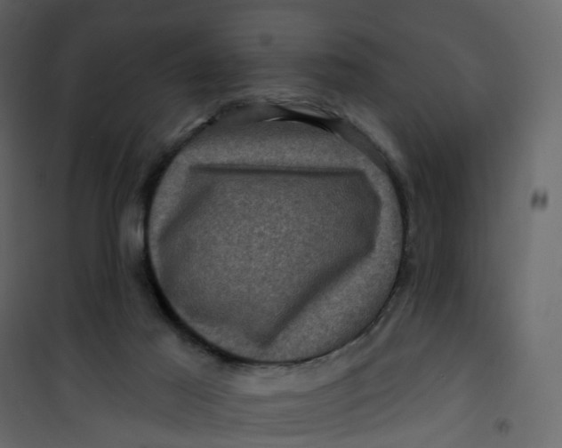 X0000101090021200807171858