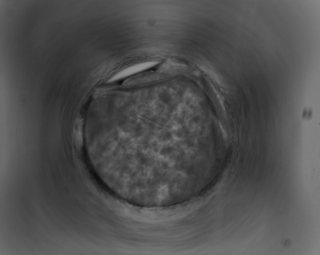 X0000101090022200807171858