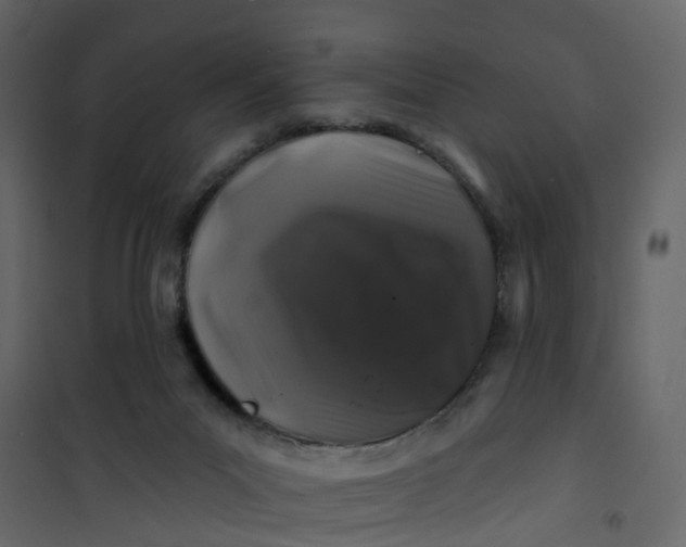 X0000101090023200807171858