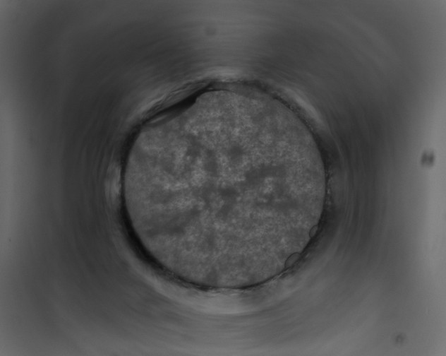 X0000101090024200807171858