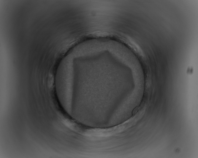 X0000101090025200807171858