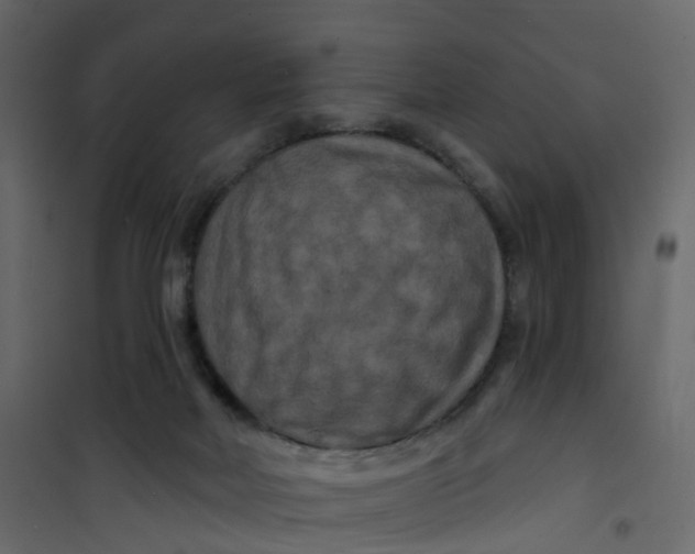 X0000101090026200807171858