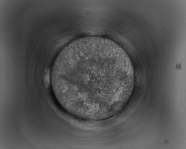 X0000101090028200807171858