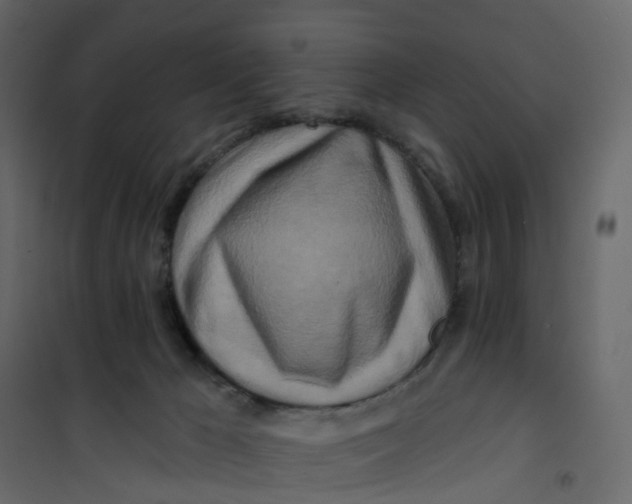 X0000101090029200807171858