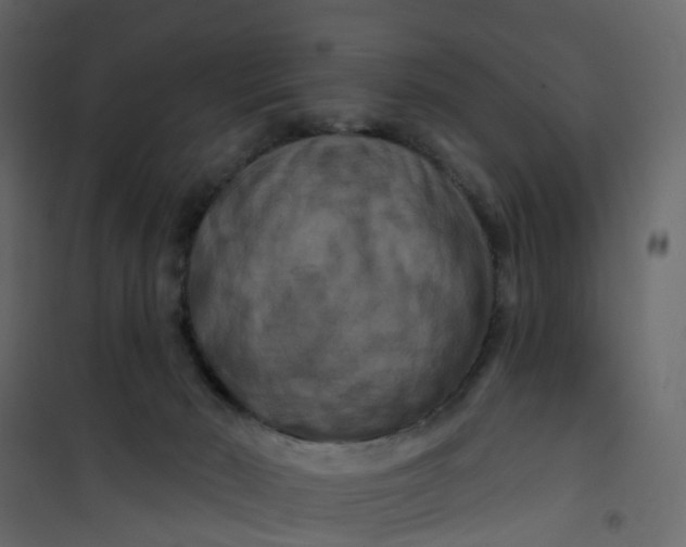 X0000101090030200807171858