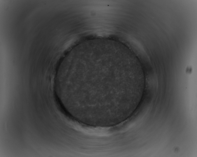 X0000101090032200807171858