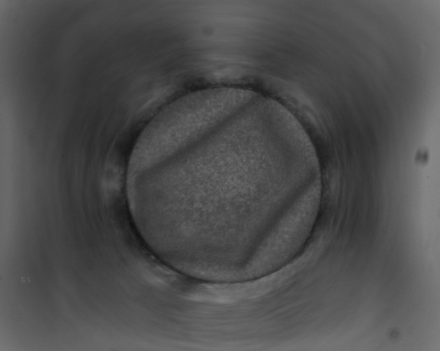 X0000101090033200807171858