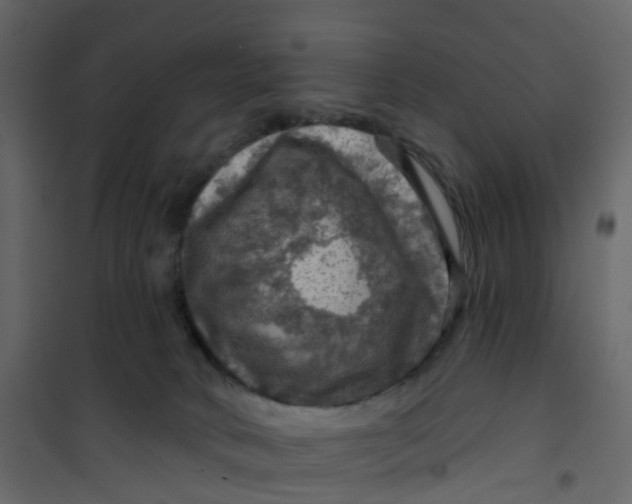 X0000101090034200807171858