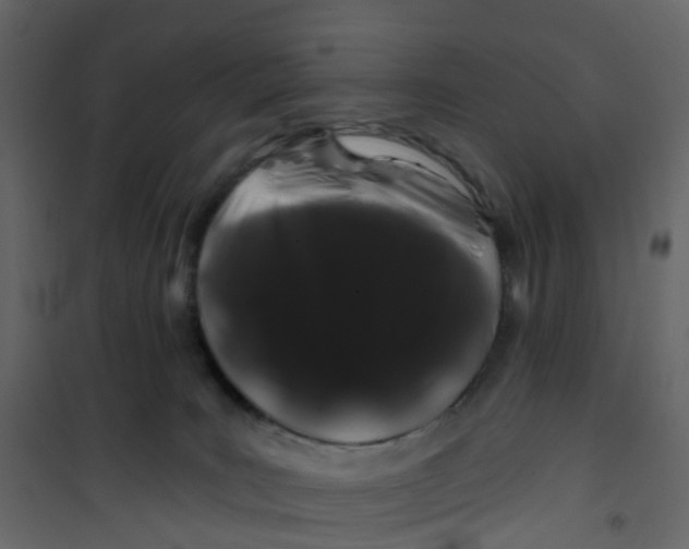 X0000101090035200807171858