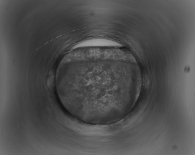 X0000101090036200807171858