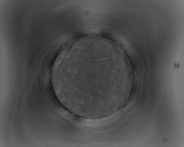 X0000101090037200807171858