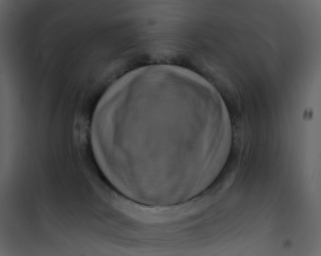 X0000101090038200807171858