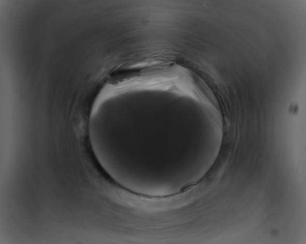 X0000101090039200807171858