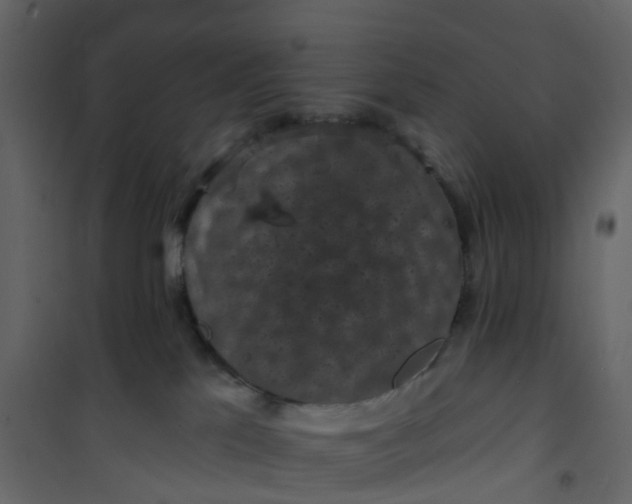 X0000101090041200807171858